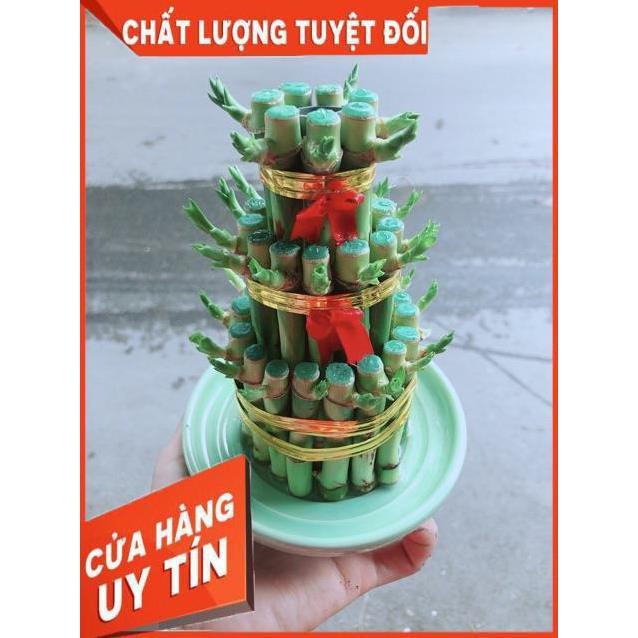 Trúc Phát Tài 3 Tầng