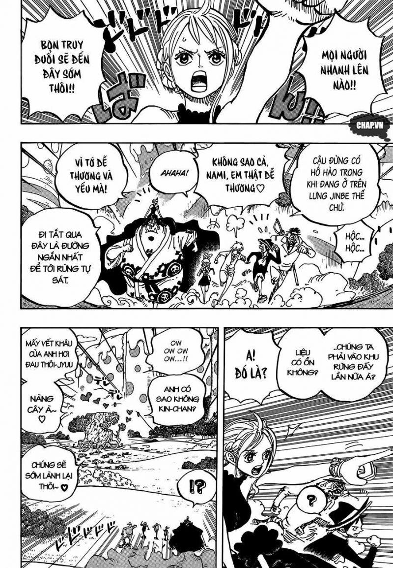 đảo hải tặc - one piece chapter 873 11