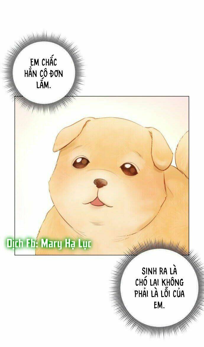 nhất định chúng ta sẽ được hạnh phúc chapter 1 93