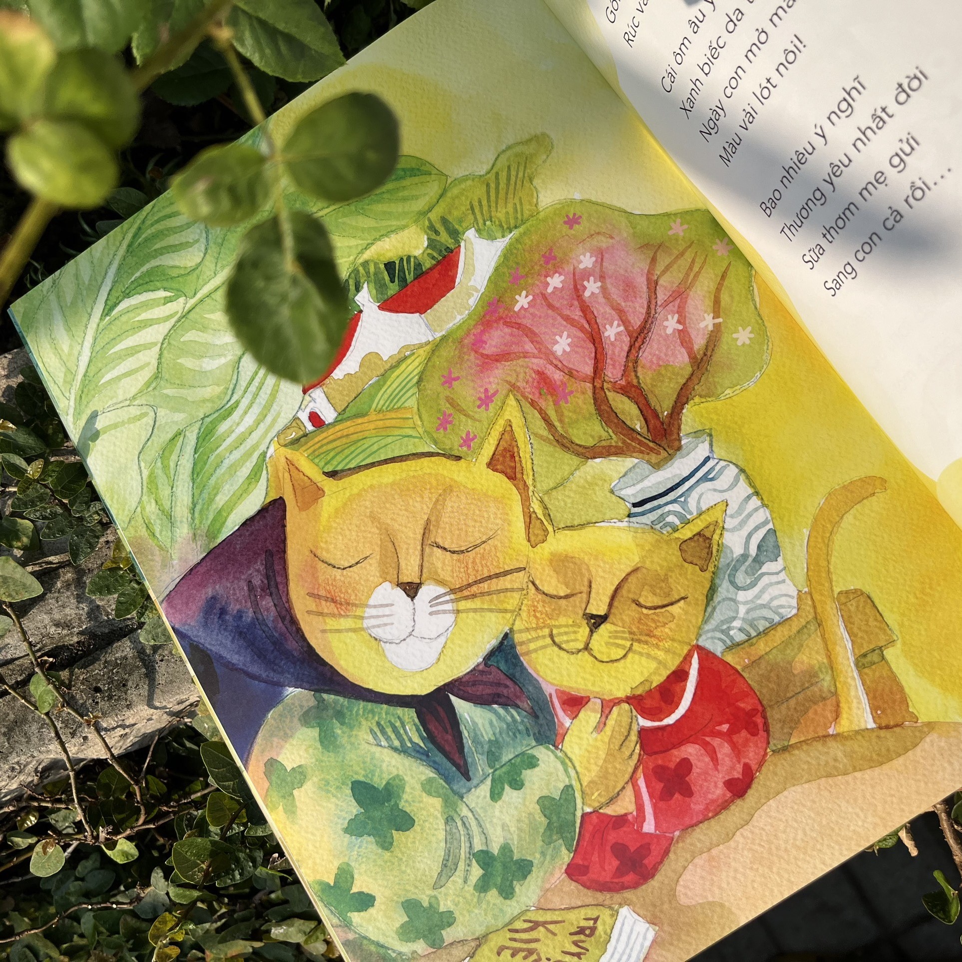 Mèo Con Đếm Tuổi - Thơ Thụy Anh