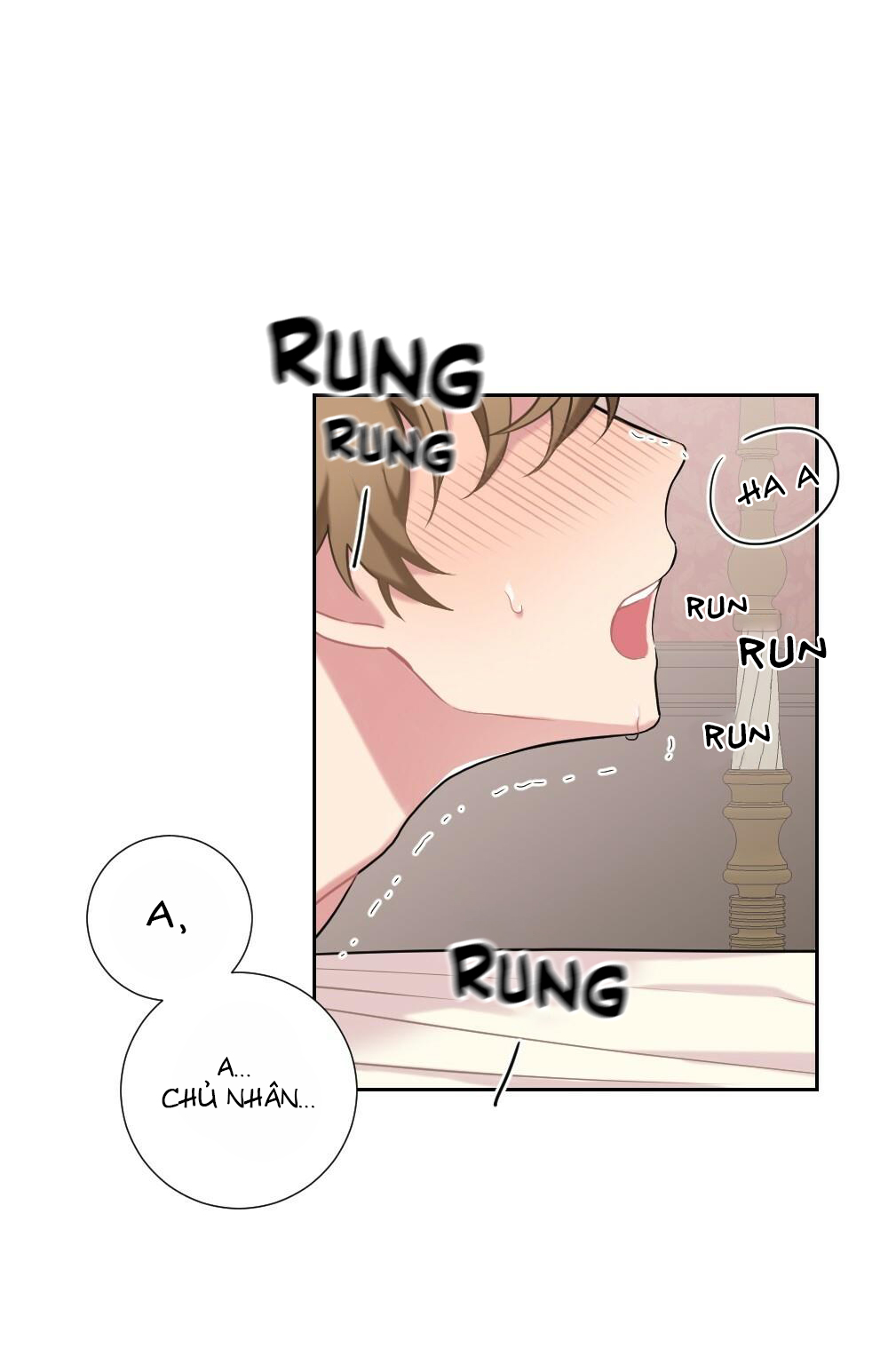 tiểu thư và dàn hầu nam mlem chapter 8 37