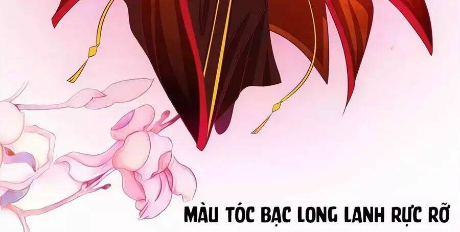 sủng thê cuồng ma của minh vương điện hạ chapter 3 5