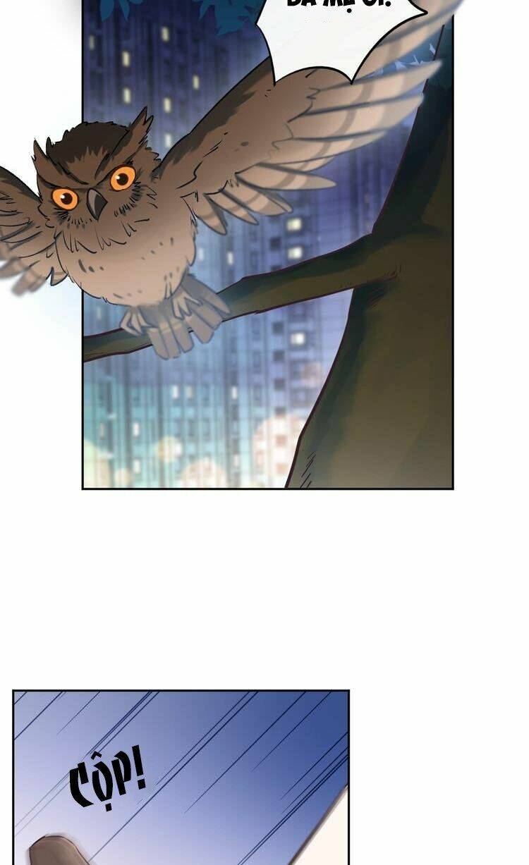 cẩm nang tấn công tra nam chapter 17 5