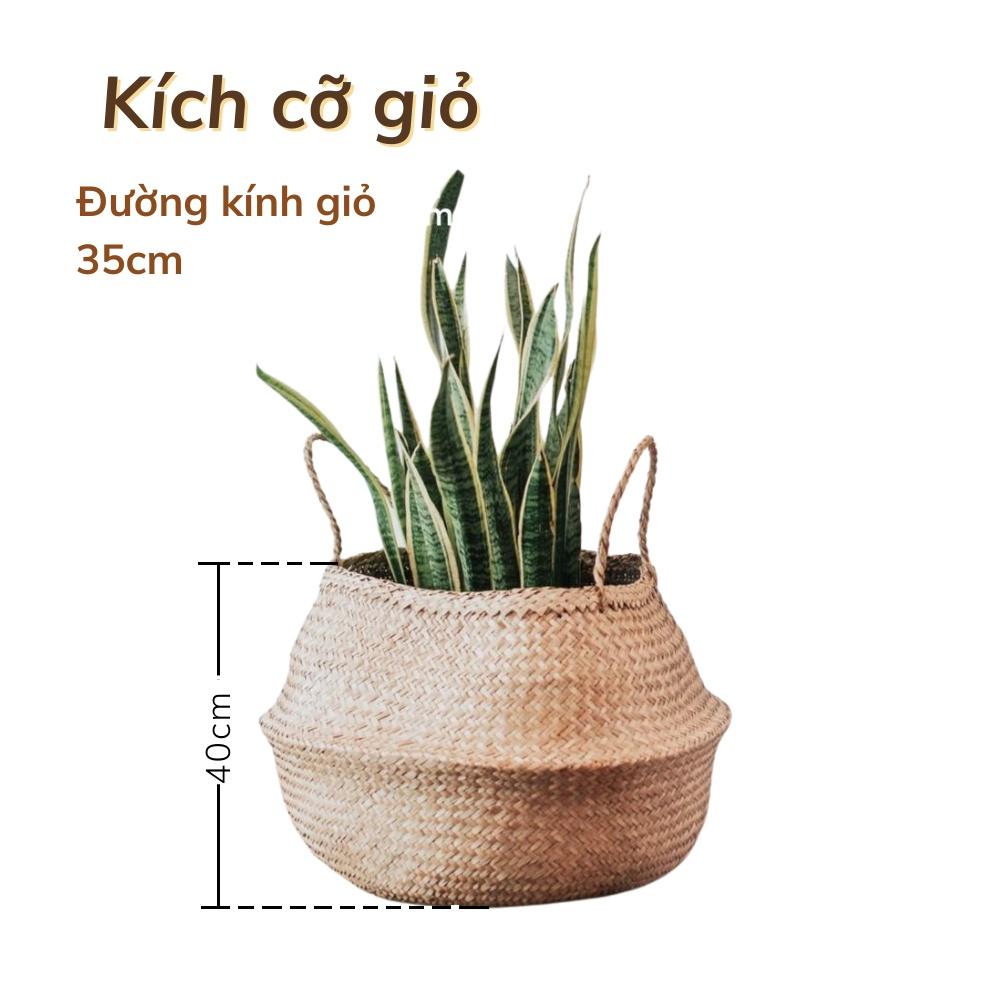 Giỏ cói đa năng BELLY làm chậu cây, đựng đồ decor phòng khách/phòng ngủ/ban công phong cách vintage