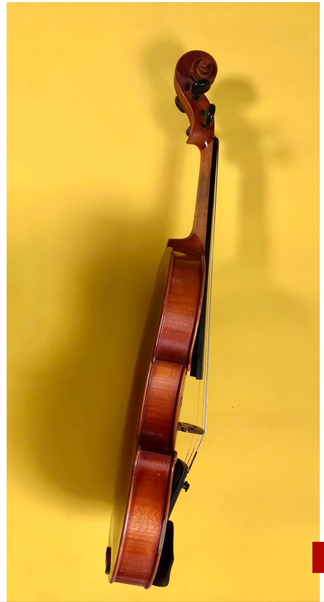 Đàn Violin Châu Âu , size 4/4 -KARL HOFNER