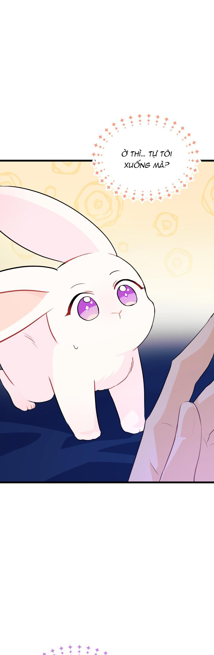 mối liên kết giữa báo đen và bé thỏ chapter 25 12