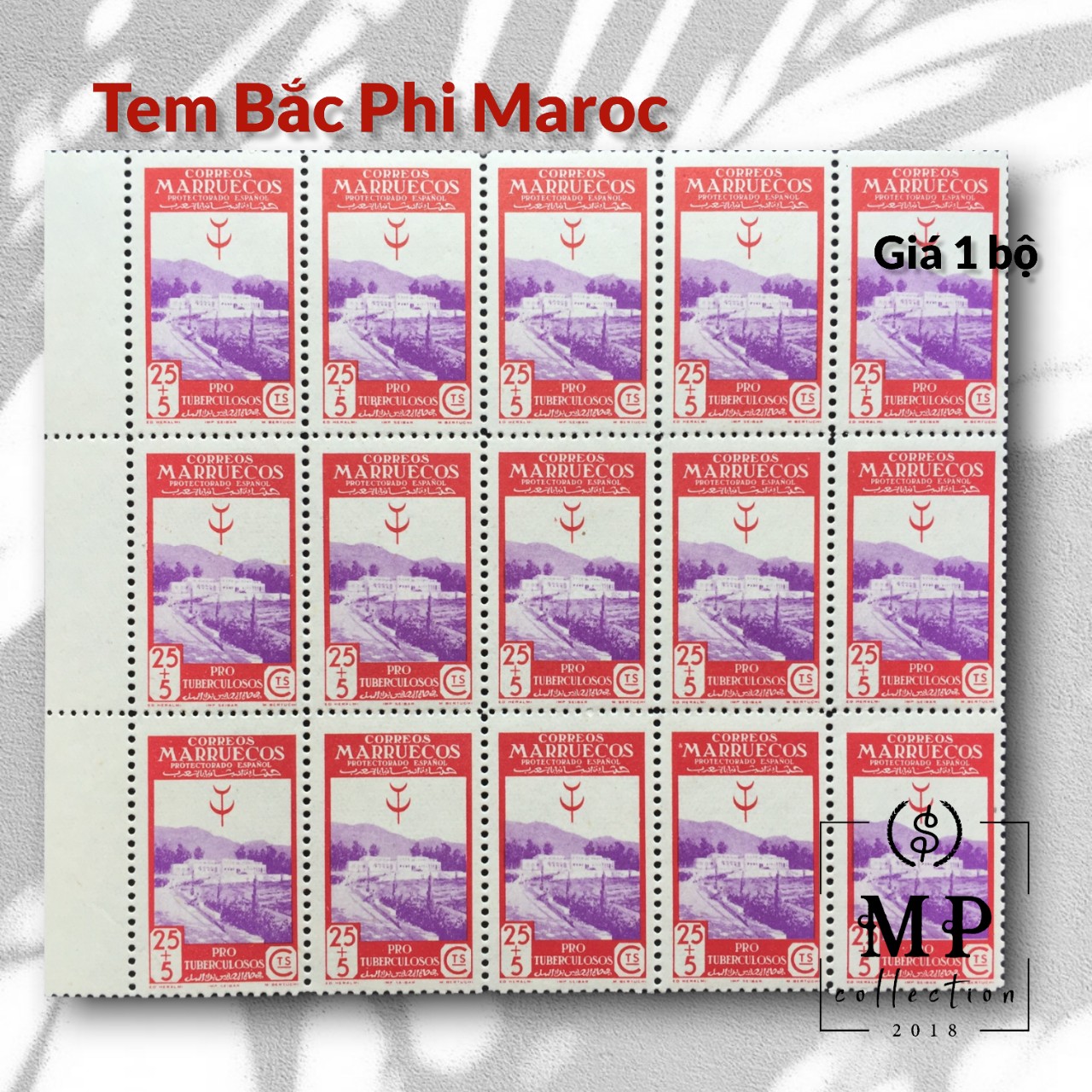 Bộ 5 tem xưa Bắc Phi Maroc thuộc địa Tây Ban Nha sưu tầm.