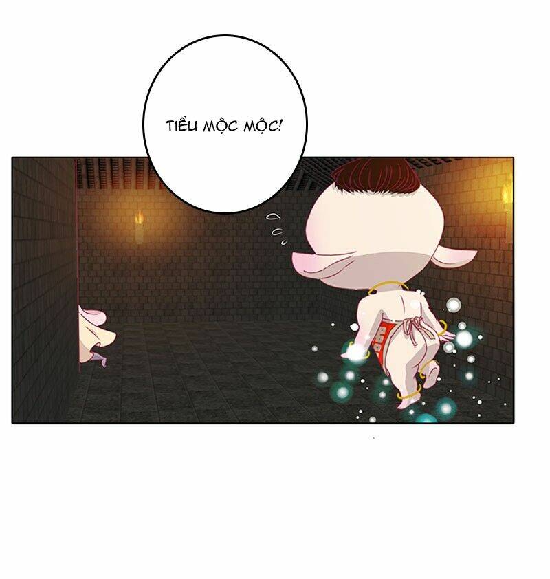 tướng quân mời ra trận chapter 76 24