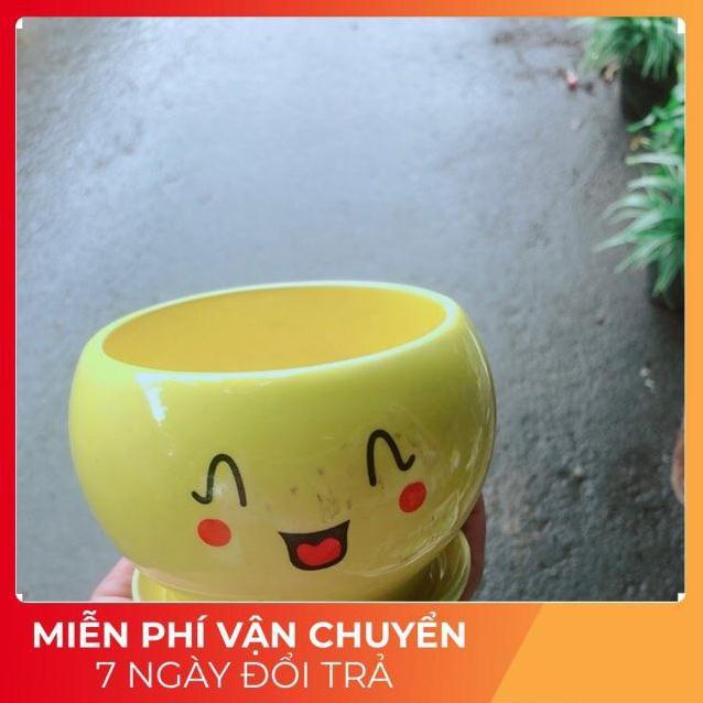 Châu Trồng Cây