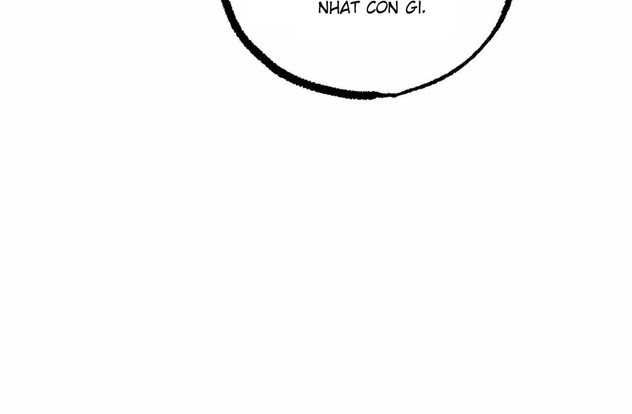 những chú thỏ của hapypy chapter 61 30