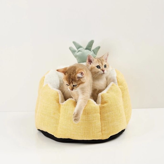 Nệm Ngủ Bốn Mùa PETKIT Hình Trái Thơm Cho Thú Cưn