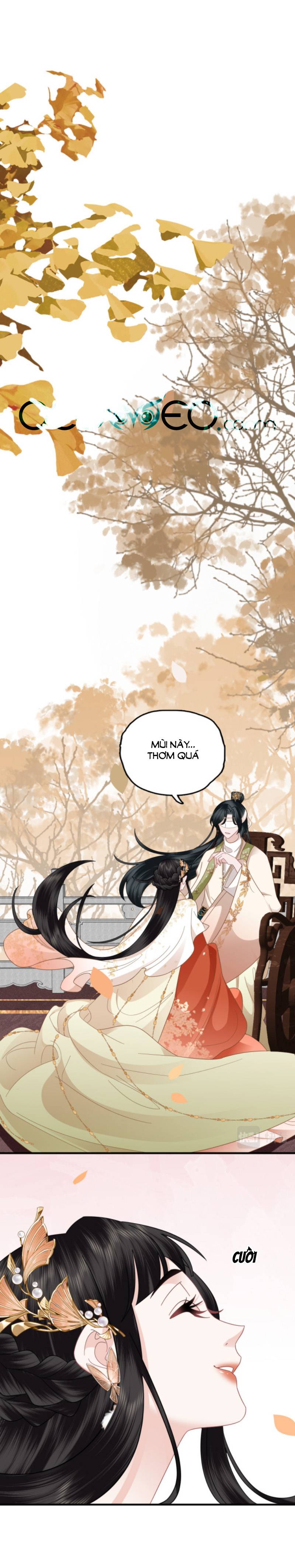 điều hương vương phi chapter 29 1