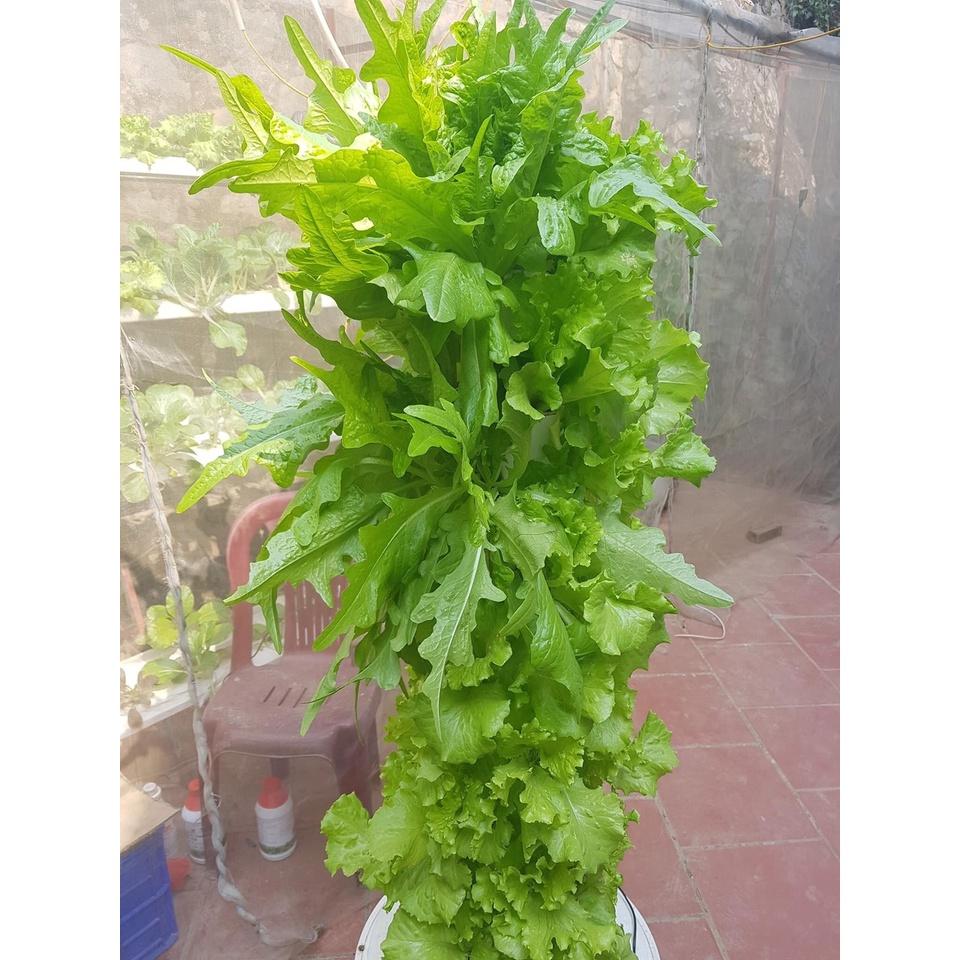 HYDRO OPTIMUM - SẢN PHẨM THỦY CANH CHO TRỒNG RAU ĂN LÁ - BỘ 2 CHAI