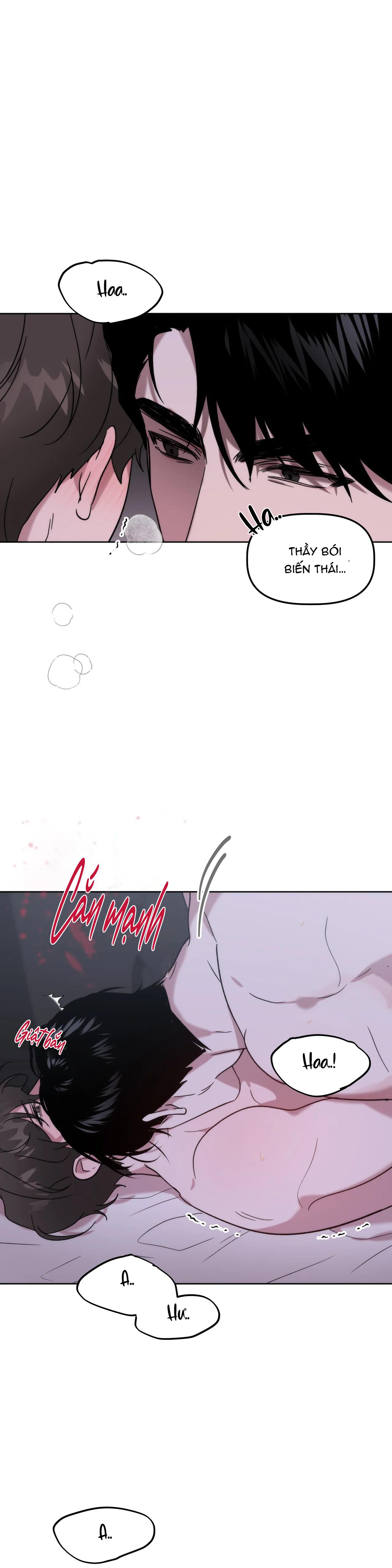 đã hiểu chưa chapter 12 21