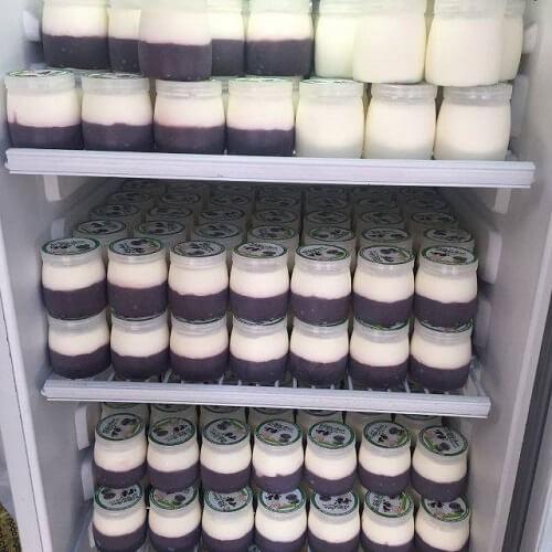 Hộp sữa chua, Hũ sữa chua 100ml, 110ml, 120ml, 140ml, 160ml nhựa dày kèm nắp