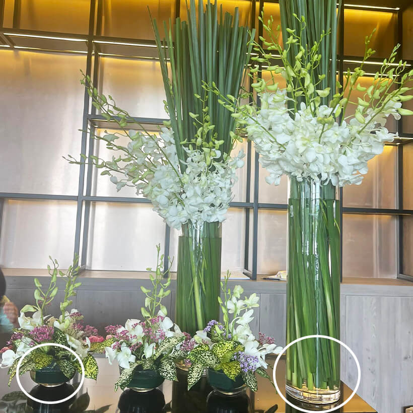 Thuốc Chăm Sóc Hoa tươi Cắm Xốp Lâu Tàn tại shop hoa Longlife SG của Israel giúp hoa tươi gấp 2 lần và hạn chế thay hoa định kỳ, hoa cắm lẵng tươi lâu