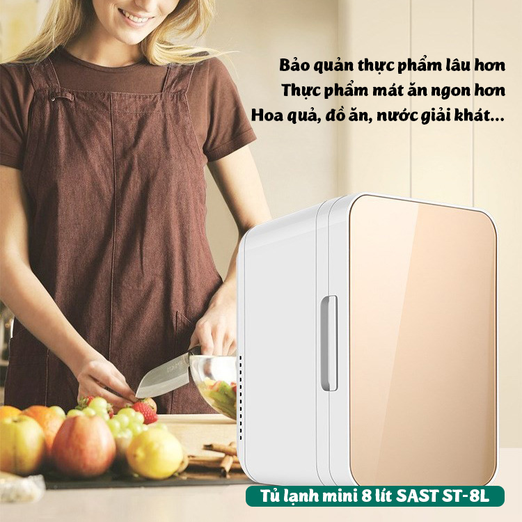 Tủ lạnh mini 8 lít SAST PD-8L đựng mỹ phẩm làm mát nước uống bảo quản hoa quả thực phẩm - Tủ lạnh mini 2 dây nguồn cho gia đình và ô tô