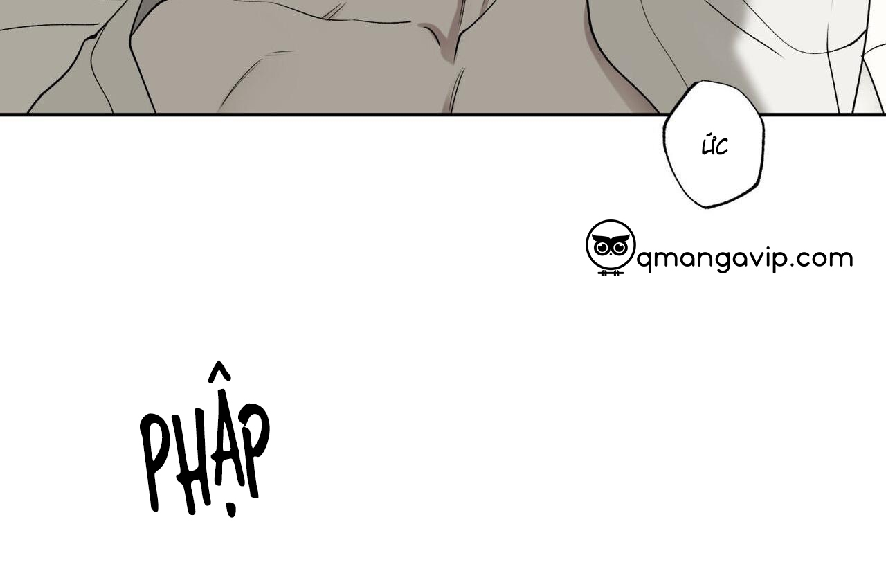 chàng giao pizza và gold palace chapter 45 233