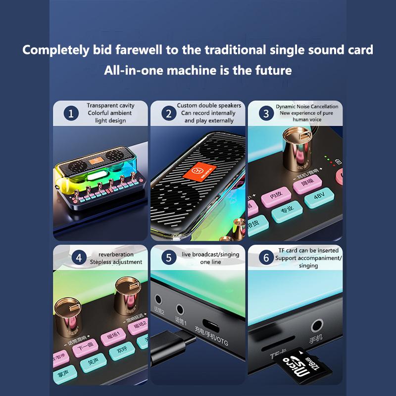 Loa bluetooth gợi cảm thiết bị phát sóng trực tiếp điện thoại di động máy tính trong nhà và ngoài trời Bluetooth ghi âm karaoke speake Màu sắc: card âm thanh đơn sắc