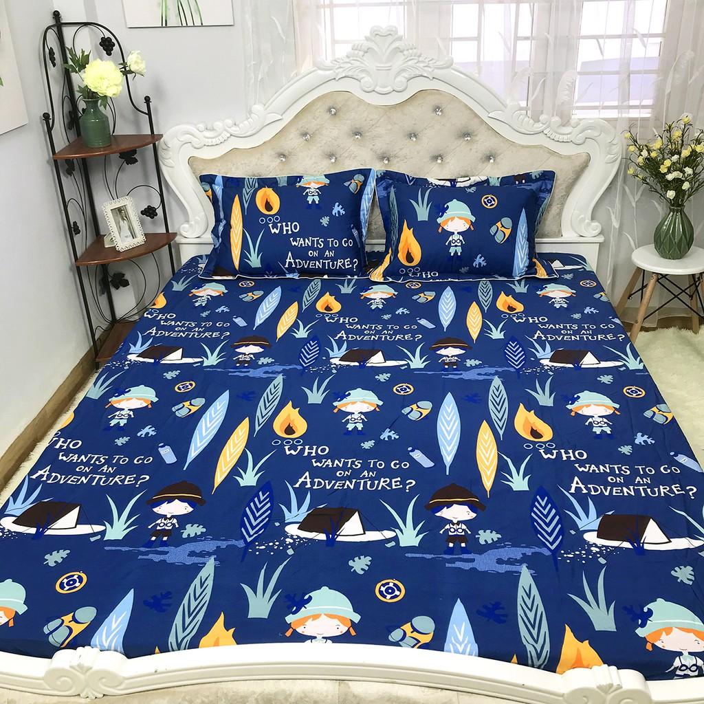 Bộ Ga Gối Cotton 100% Hàng Việt Nam Chất Lượng Cao Mẫu PHIÊU LƯU. Thấm Hút Mồ Hôi Cực Tốt