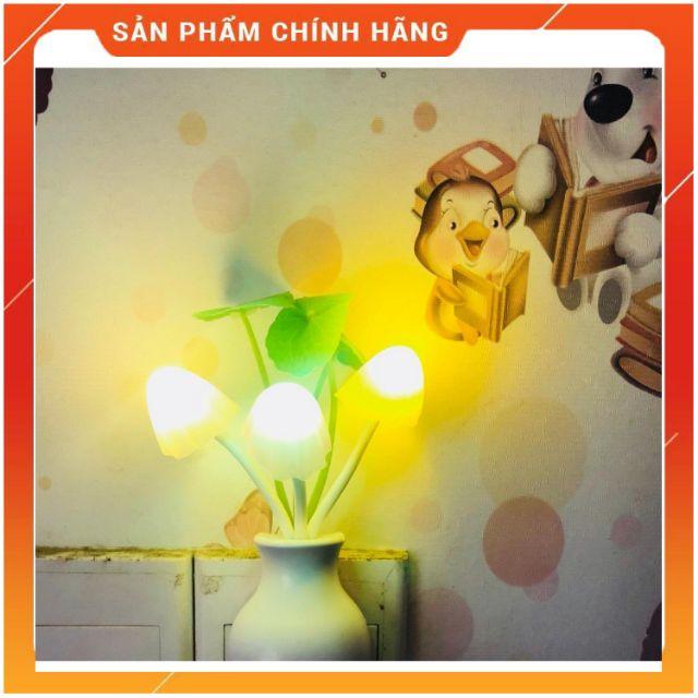 Đèn ngủ cảm ứng đổi màu đêm sáng ngày tắt hình bình hoa