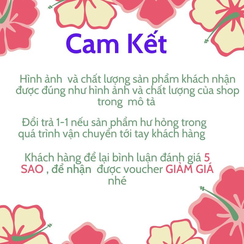 Vịt quay giả , Mô Hình Sống Động Như Thật - mô hình đô giả - đồ ăn giả