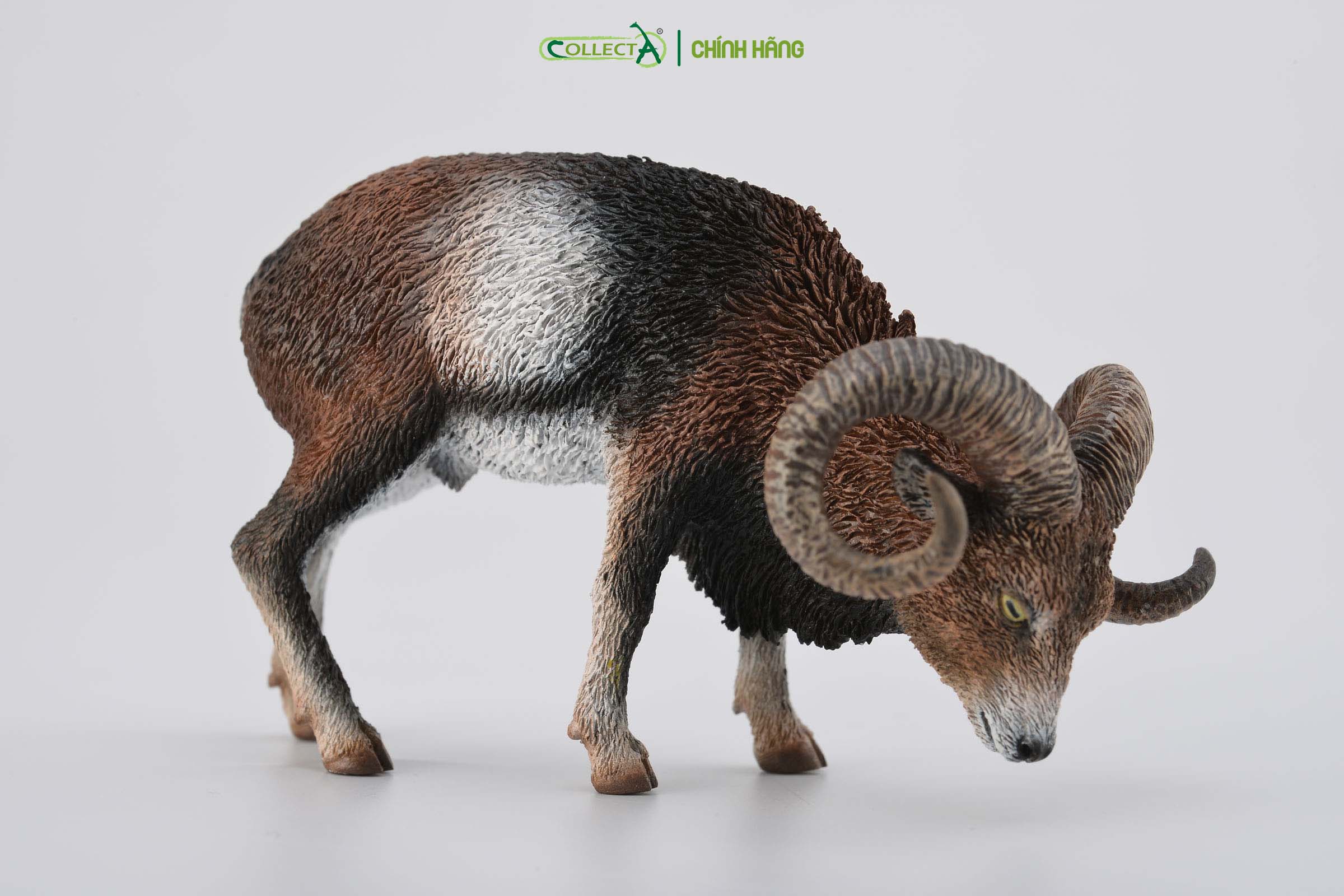Mô hình thu nhỏ: Cừu Núi - European Mouflon, hiệu: CollectA, mã HS 9651360[88682] -  Chất liệu an toàn cho trẻ - Hàng chính hãng