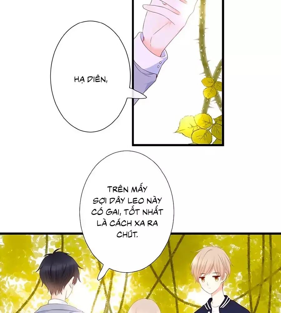 hoa chưa nở rộ chapter 20 20