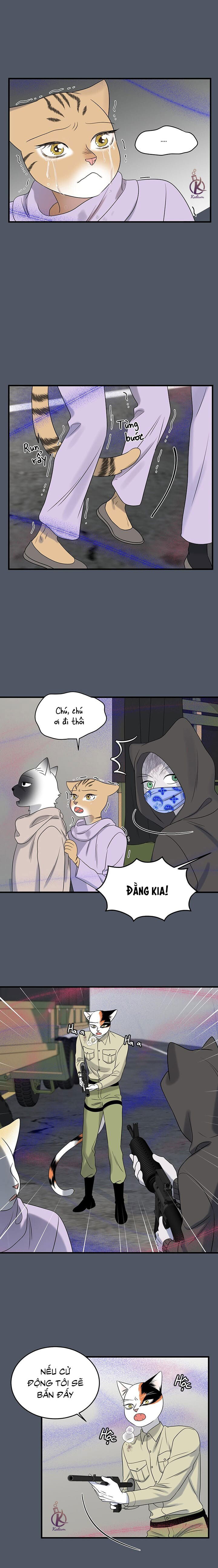 dự án xanh chapter 43 11