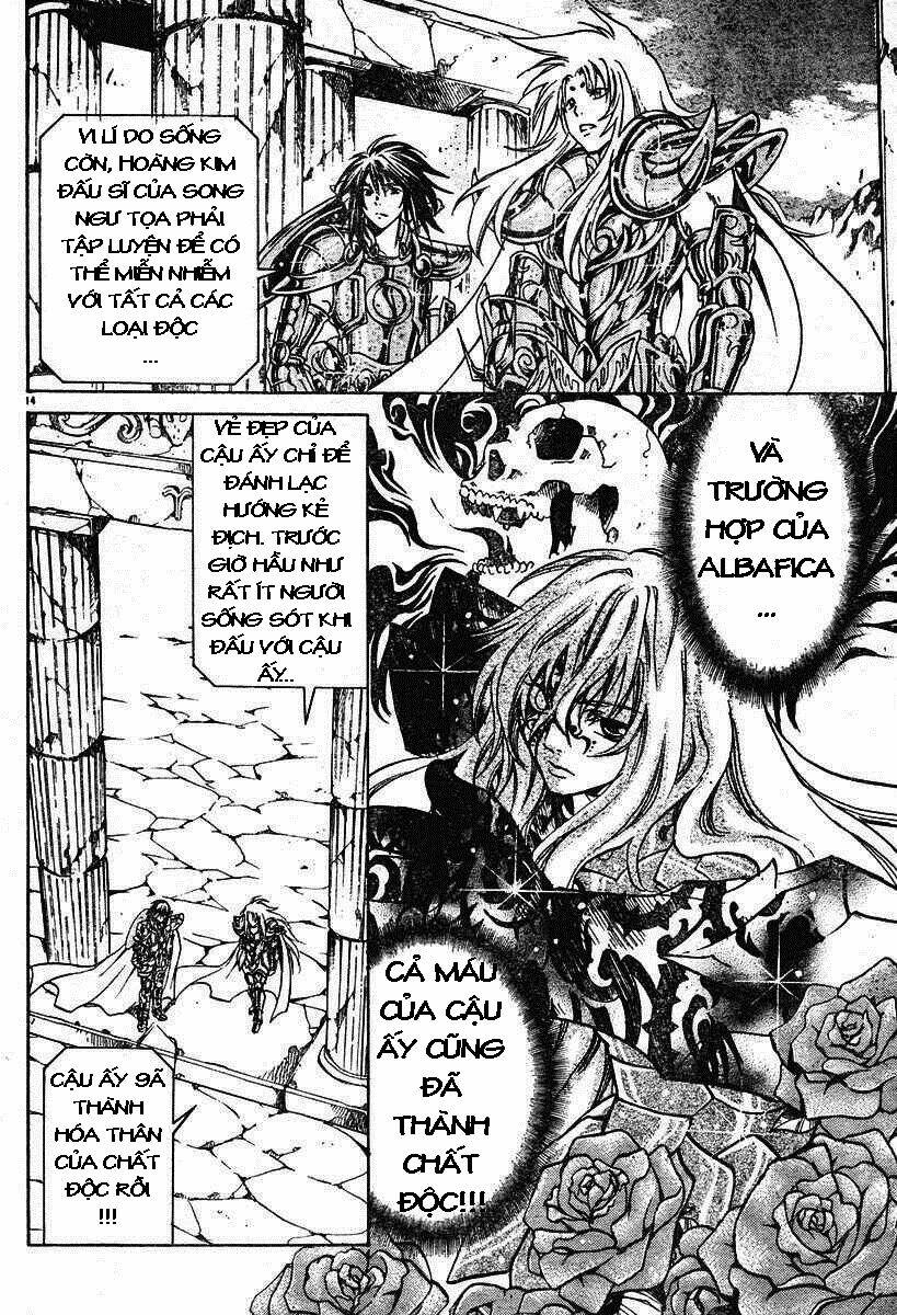 áo giáp vàng: thánh đấu sĩ thiên mã chapter 18 13