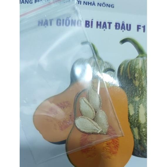 Hạt giống bí leo giàn  2gr