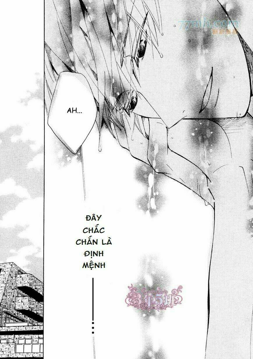 mối tình trong sáng chapter 38 52