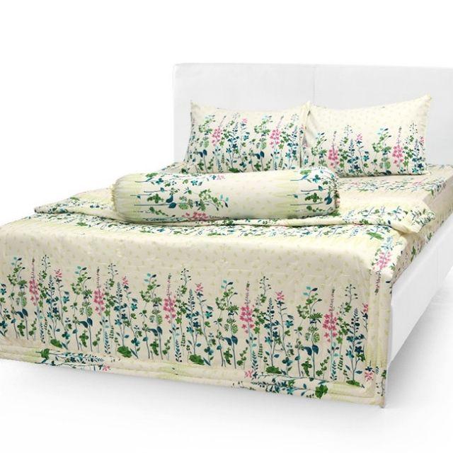Bộ 4 món drap + áo gối cotton thắng lợi