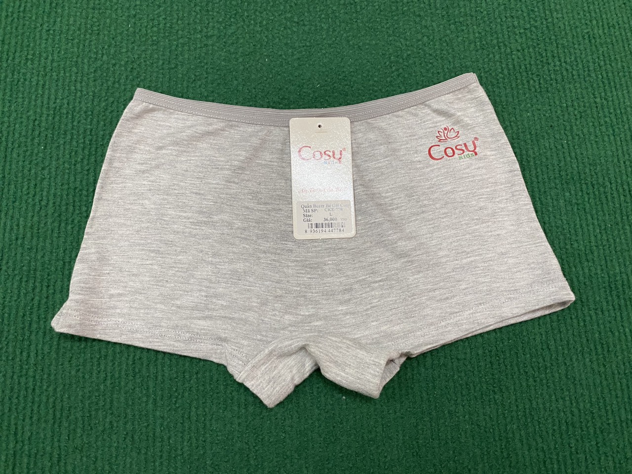 Combo 8 quần lót đùi bé gái Cosy Kids