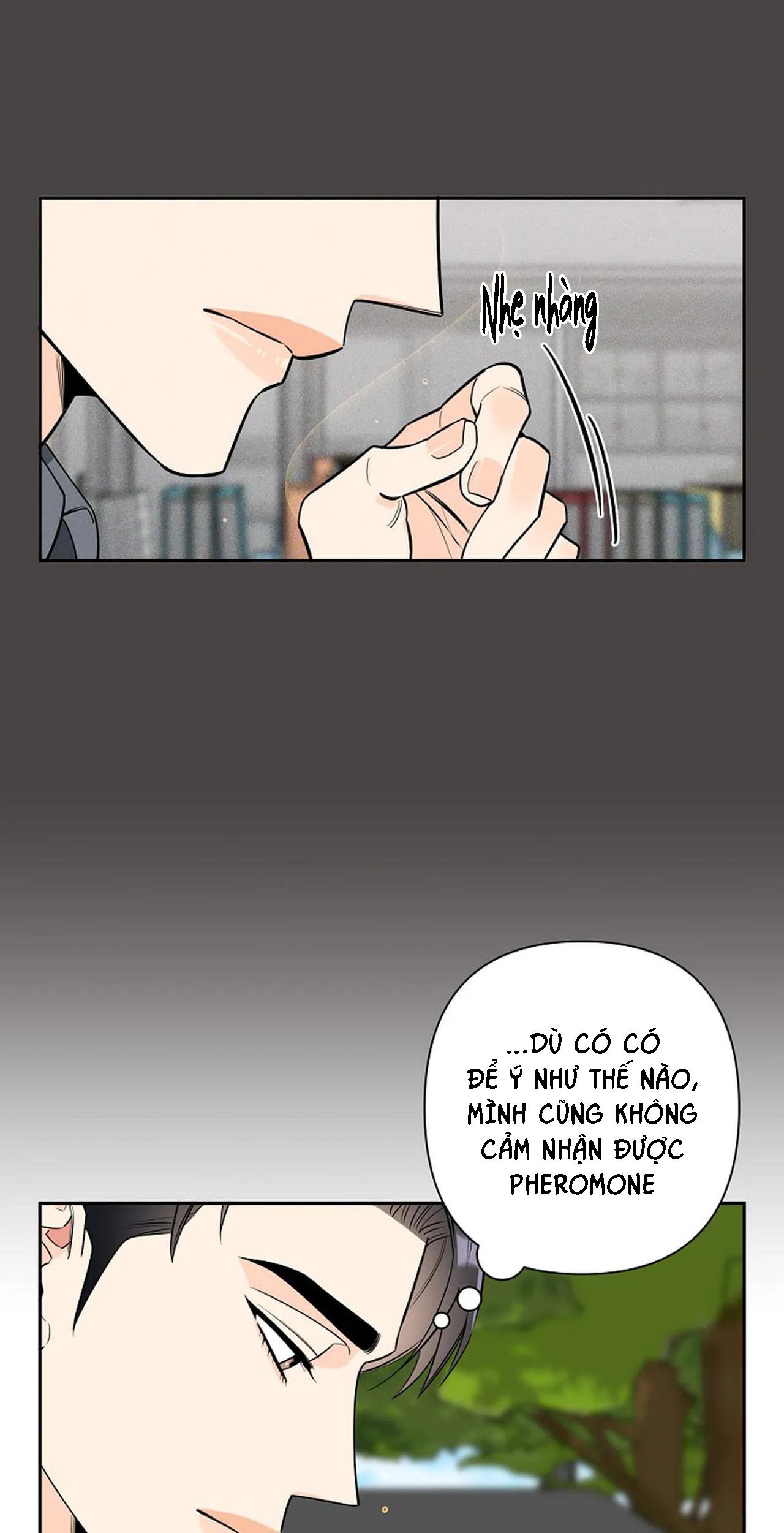 đêm dịu dàng chapter 26 36