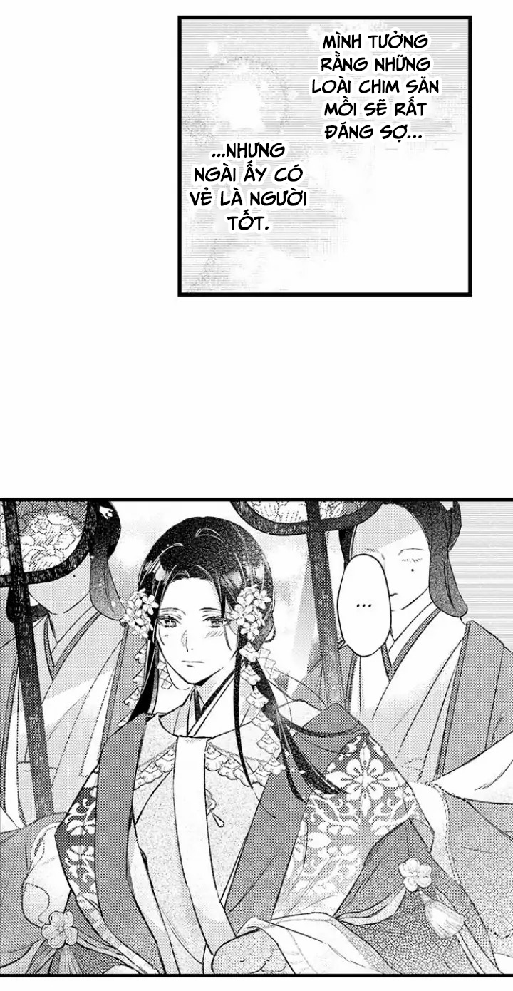 điểu thượng minh hoa chapter 2.1 13