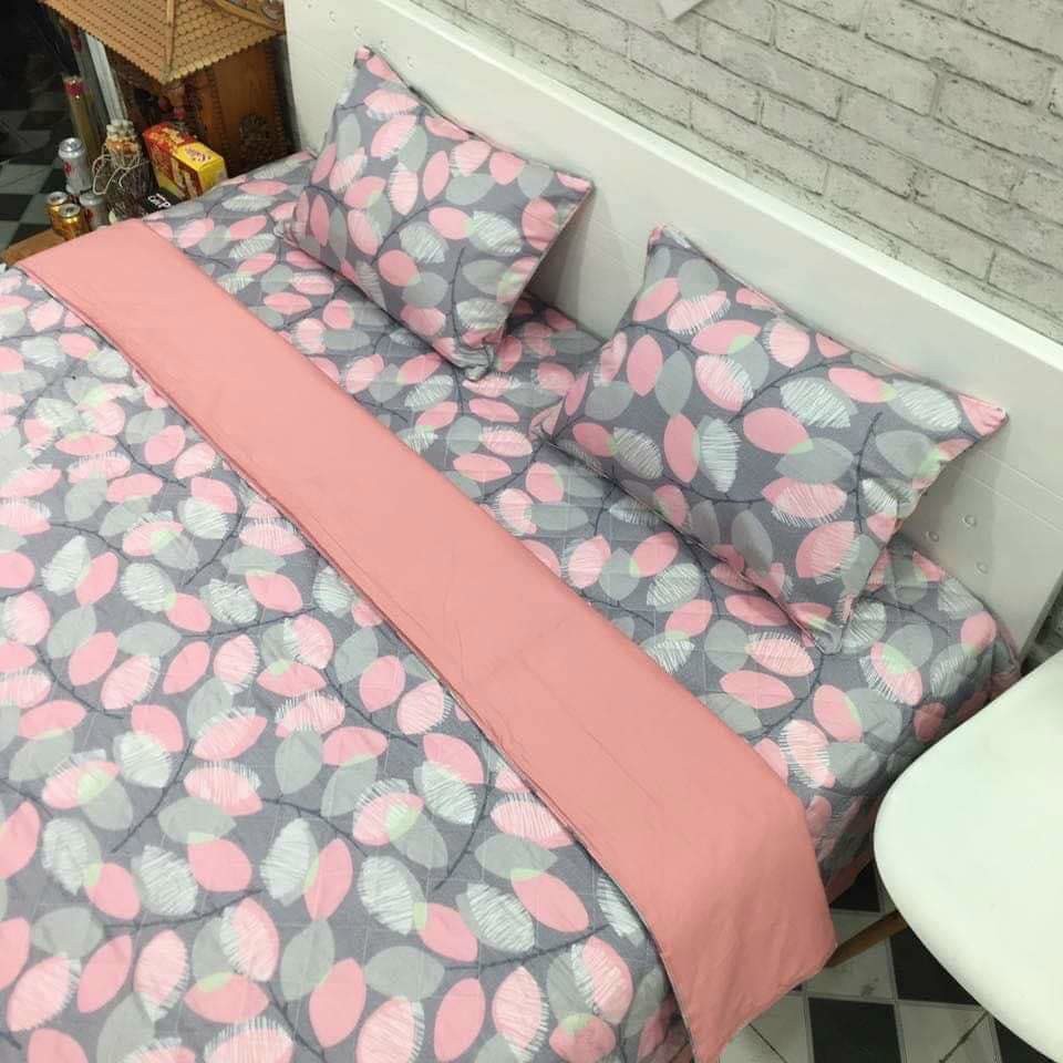 Bộ Ga Gối Vải Cotton Hàn Quốc Mịn Mát
