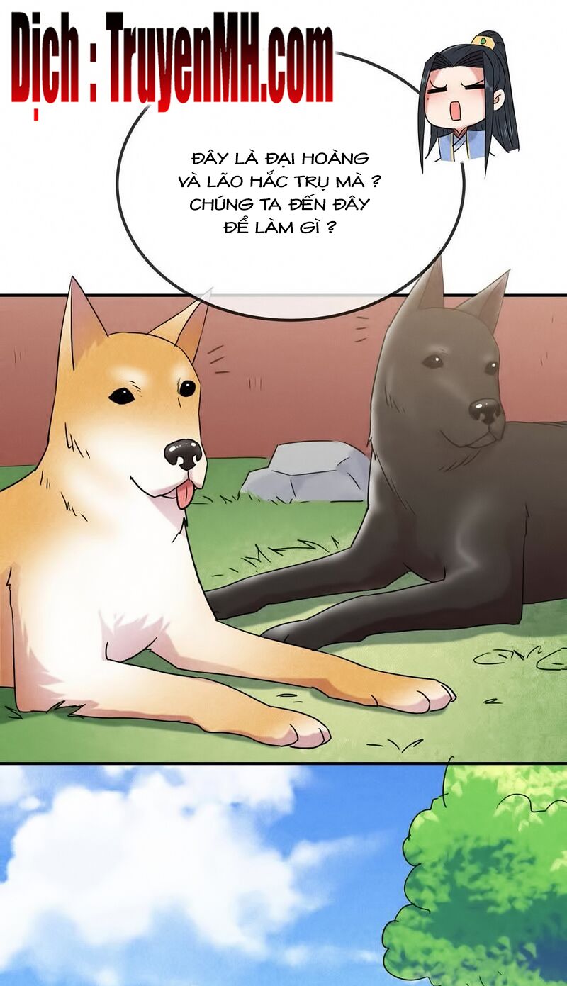 101 mỹ nam của vương phi béo phì chapter 17 1