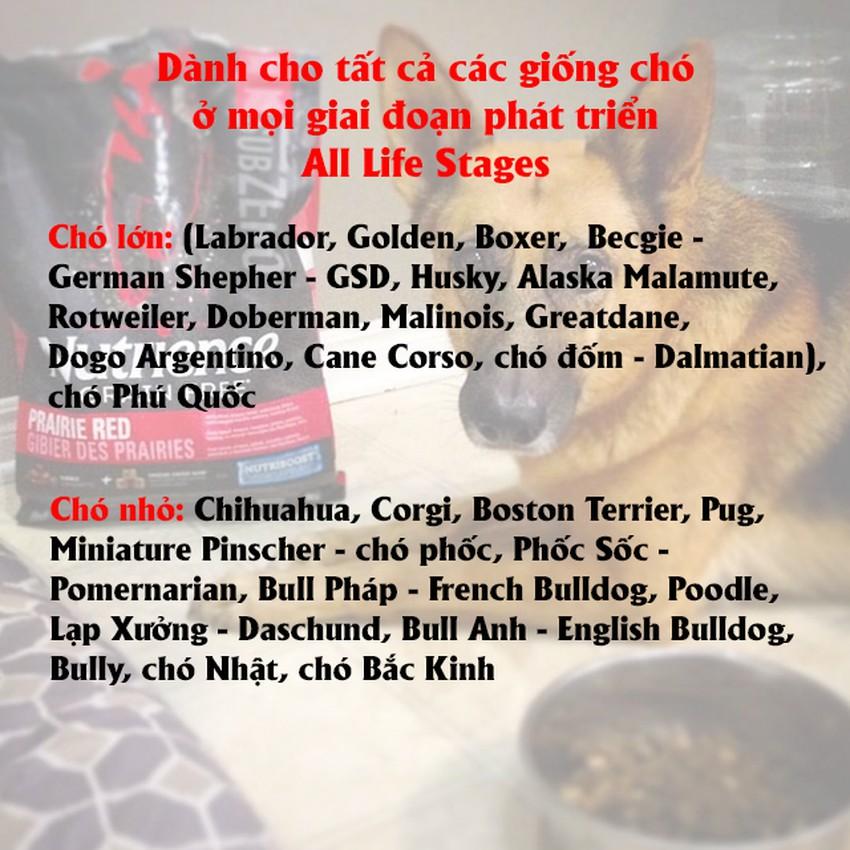 Thức Ăn Hạt Cho Chó Becgie Nutrience Subzero Bao 2.2kg - Thức Ăn Cho Chó, Gồm Có 6 Loại Thịt Cá, Rau Củ, Trái Cây