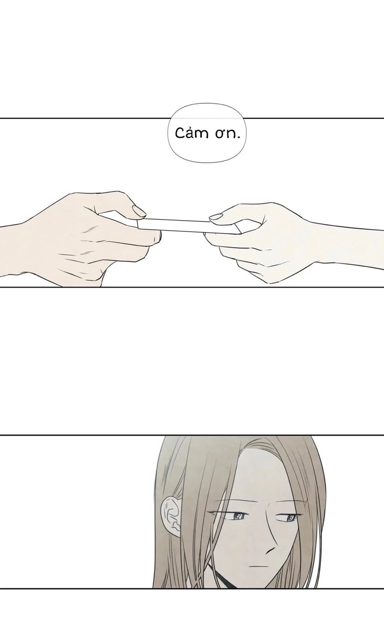 summer solstice point chapter 1 14