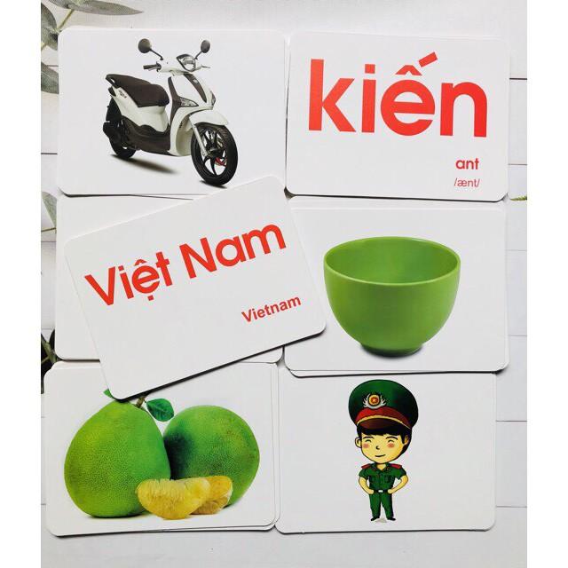 Thẻ học thông minh cho bé, flashcard 100 thẻ kích thước to 15x21cm, loại chuẩn glenn doman