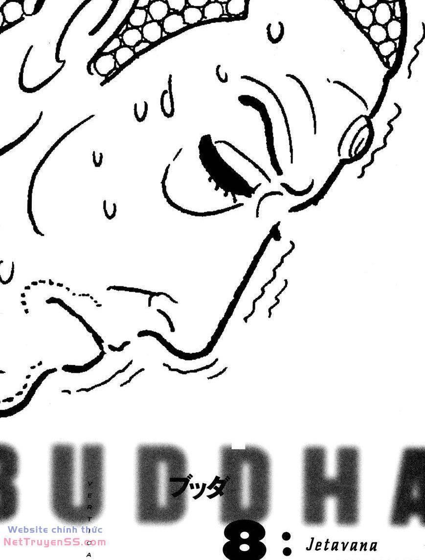 buddha - truyền thuyết đức phật chapter 61 4