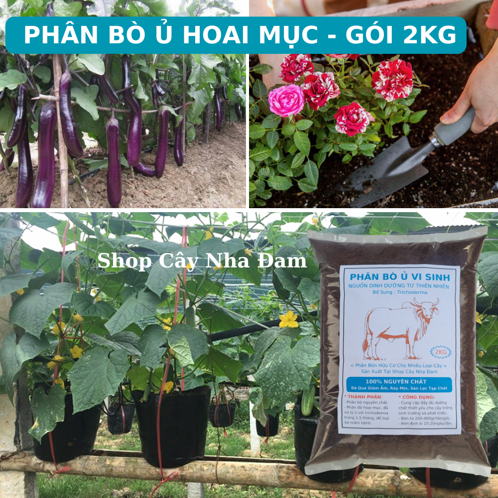 Phân Bò Ủ Hoai Mục Đã Qua Xử Lý Và Ủ Với Trichoderma,Trồng Rau Sạch, Hoa, Cây Cảnh, Cây Ăn Trái (Gói 2Kg)