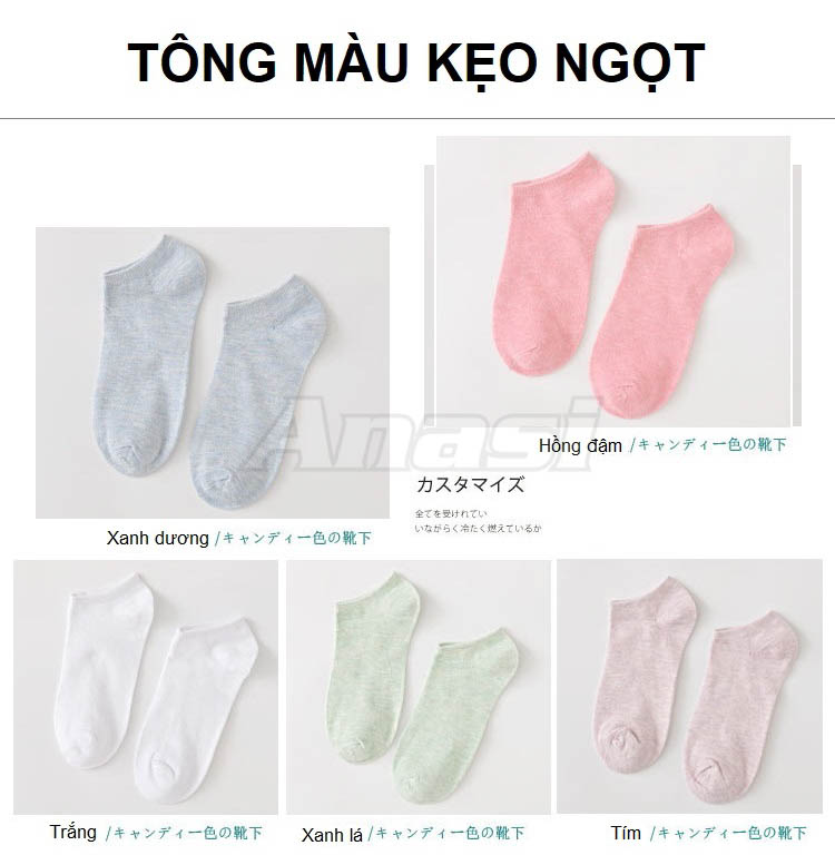 Combo 4 đôi vớ nữ/ Tất nữ cotton cổ ngắn loại mềm mỏng đi mùa hè Anasi VN095 | BST màu kẹo ngọt