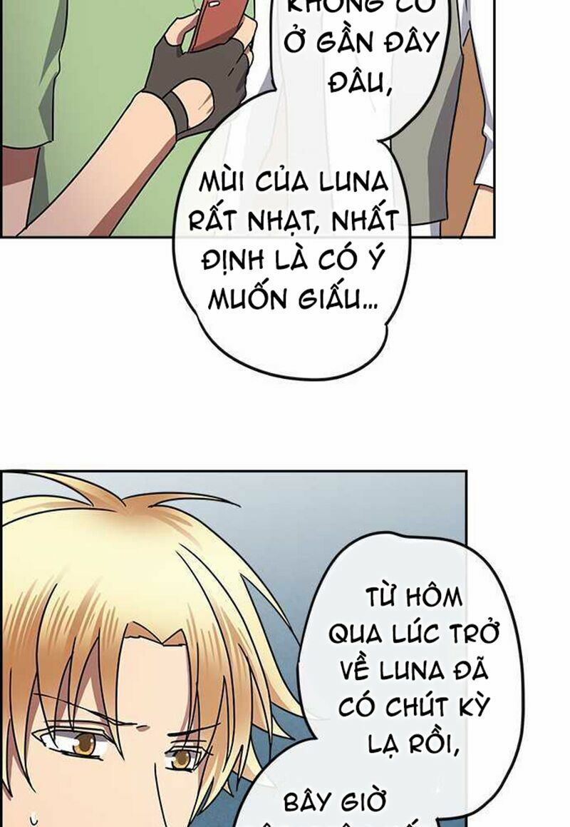 nụ hôn nguyền rủa chapter 99 31