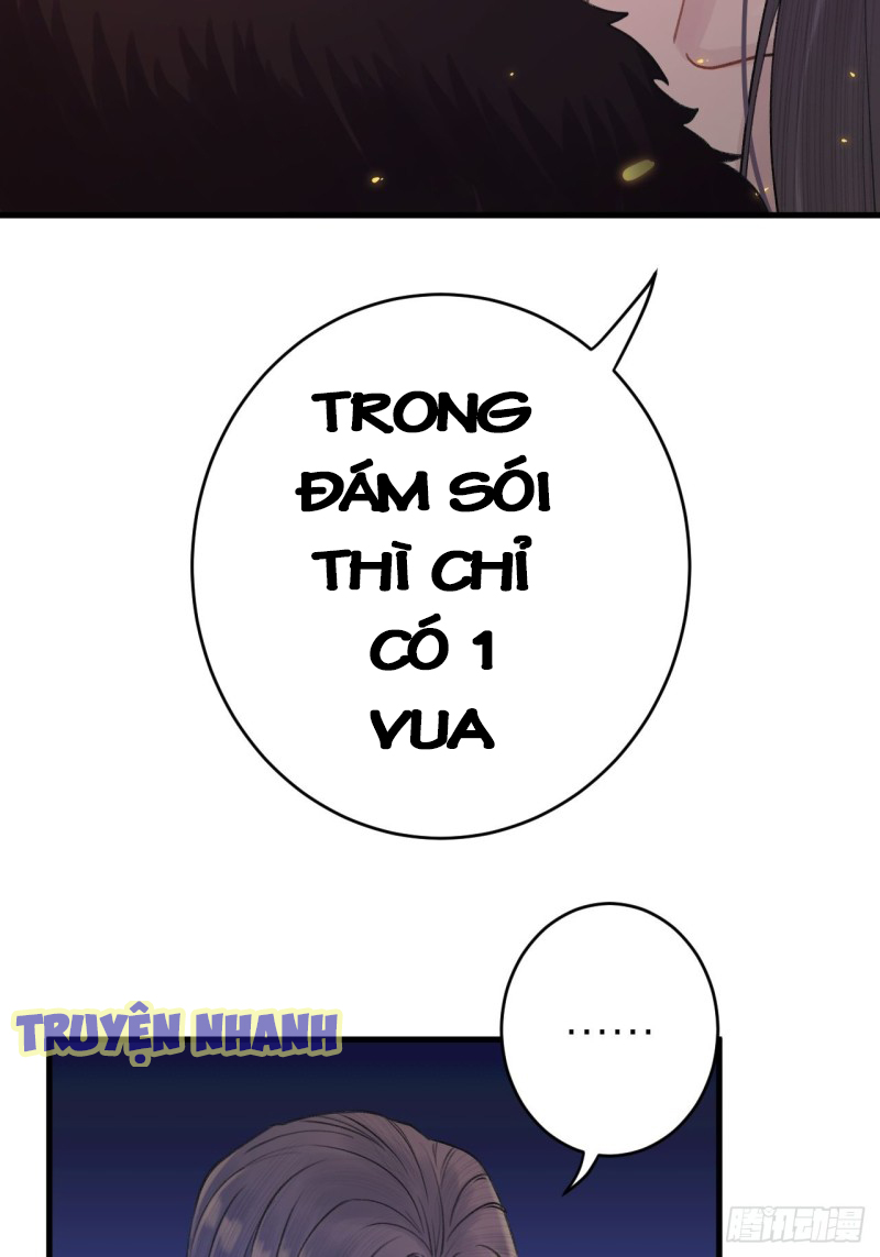 lễ băng nhạc hoại chi dạ chapter 4 36