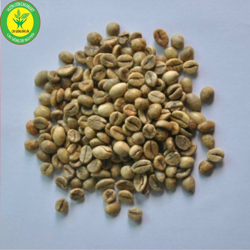 Nhân CAFE Sống ROBUSTAR (1kg Hàng Chọn Lọc ,Hàng Chuẩn )