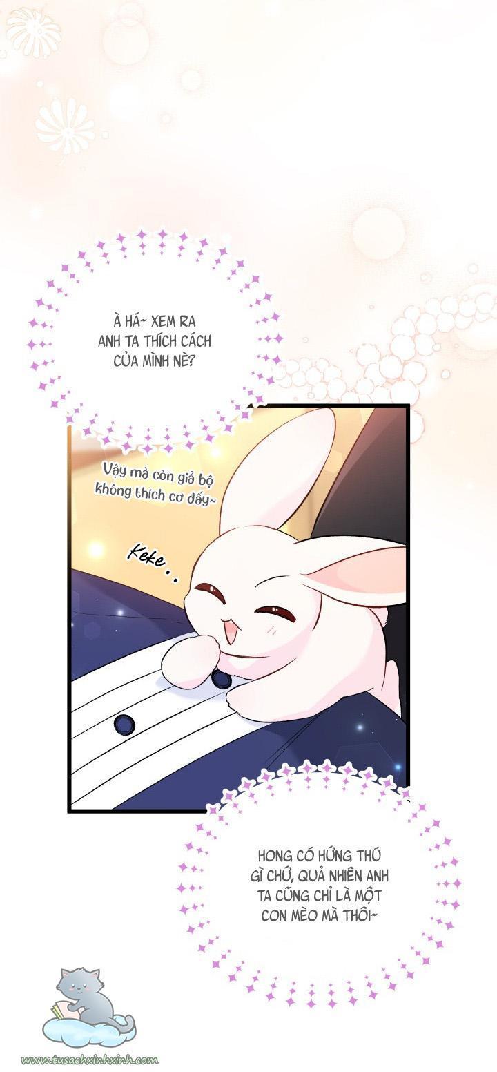 quan hệ cộng sinh giữa báo đen và thỏ trắng chapter 56 41