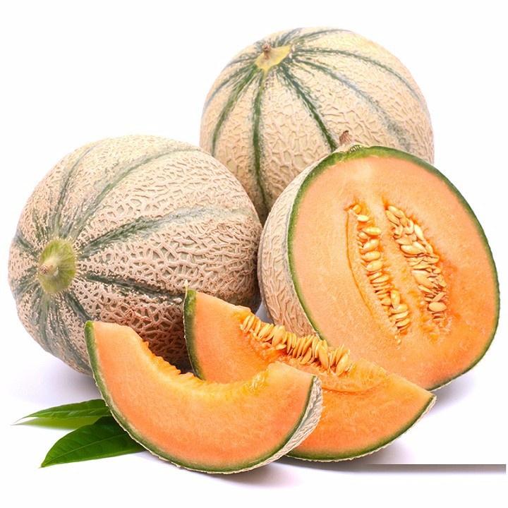 Combo 5 gói hạt giống dưa lưới vỏ sọc ruột cam -gói 10 hạt-tặng kèm gói phân bón lót