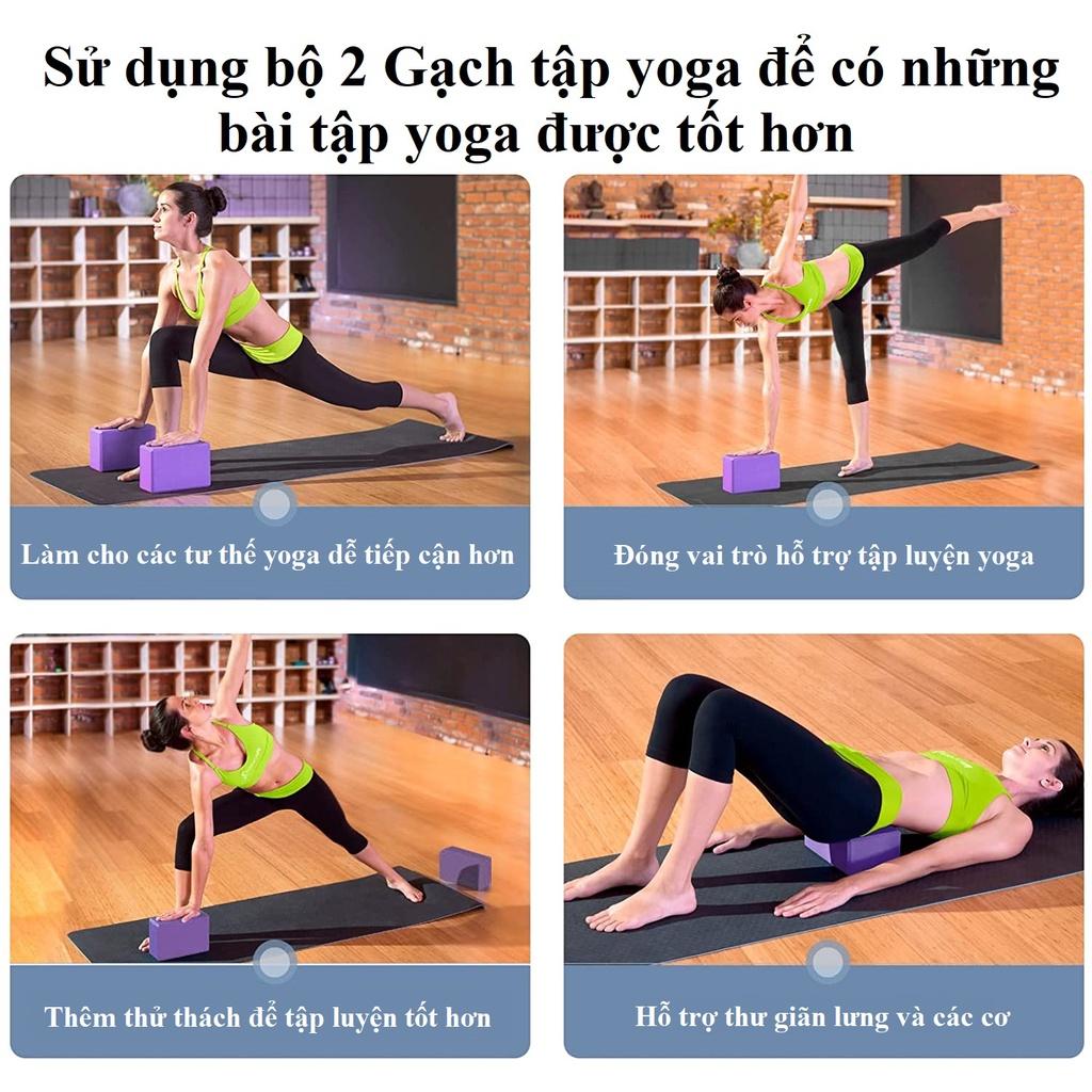 Gối Tập Yoga Chọn Màu Chính Hãng Amalife Cao Cấp – Gạch Tập Yoga Loại Nặng 190gram